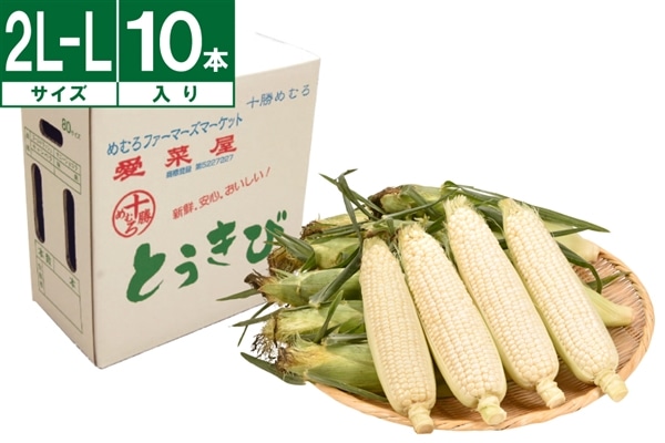 十勝めむろ産ホワイトコーン L～2L 10本《8月上旬～発送開始