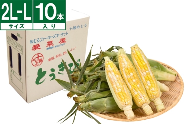 十勝めむろ産バイカラードルチェドリーム L～2L 10本《8月上旬～発送