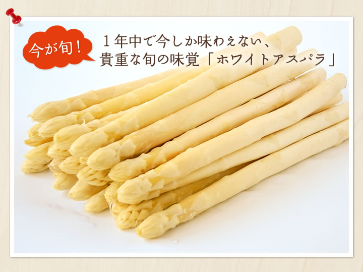JA北はるか ホワイトアスパラガス2Ｌサイズ約1㎏(ハウス栽培) 《4月中旬～発送開始》: ホクレン|【ＪＡタウン】産地直送 通販 お取り寄せ
