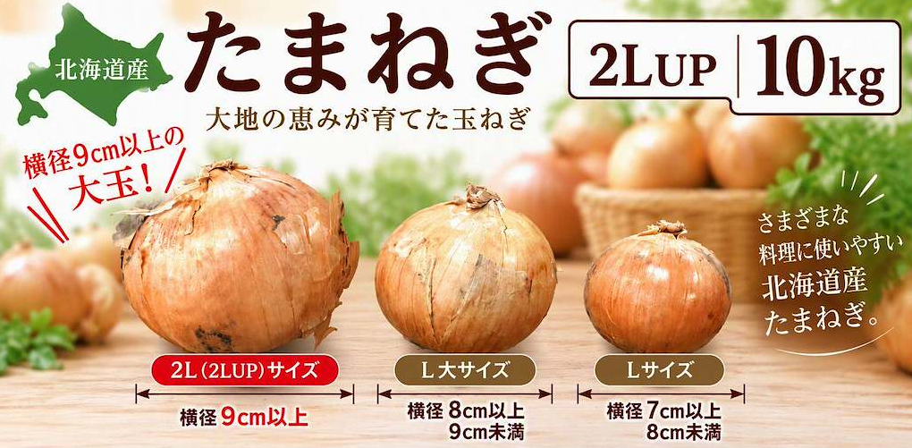 MEGAサイズ】北海道産玉ねぎ 2L以上約10kg《10月中旬～発送開始