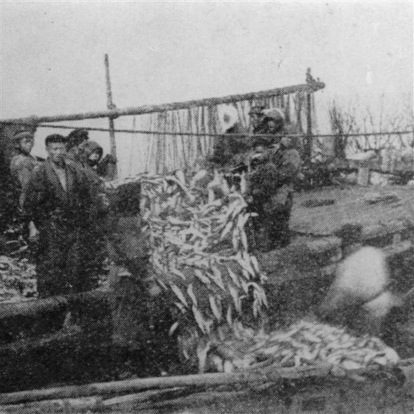 【48人前】北海道岩内町の伝統の漁師めし・岩内鰊和次郎<糠にしん茶漬け>