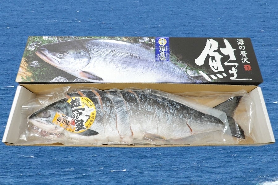 産地直送 通販 お取り寄せ お歳暮 新巻鮭姿切身造り １尾 オホーツク海 雄武産 天然銀毛鮭 雄宝 ｊａ新おたる紹介 ｊａタウン