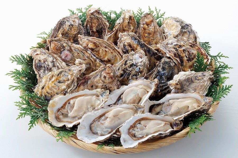 産地直送 通販 お取り寄せ【４ｋｇ】北海道サロマ湖産 殻付き生牡蠣（２年物）: ＪＡ新おたる紹介|ＪＡタウン