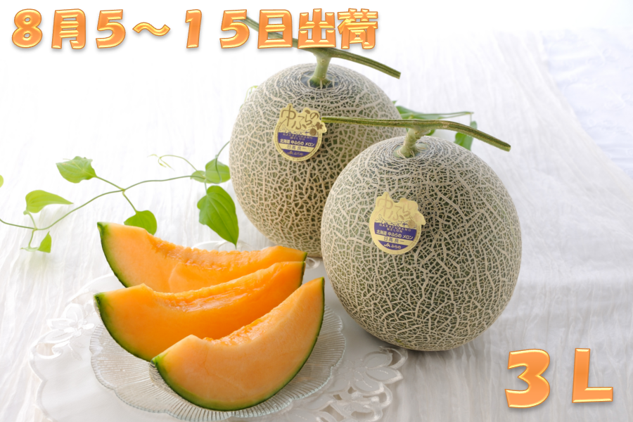3L（8月5～15日出荷）富良野メロン2玉（秀品）: 北海道の特産品