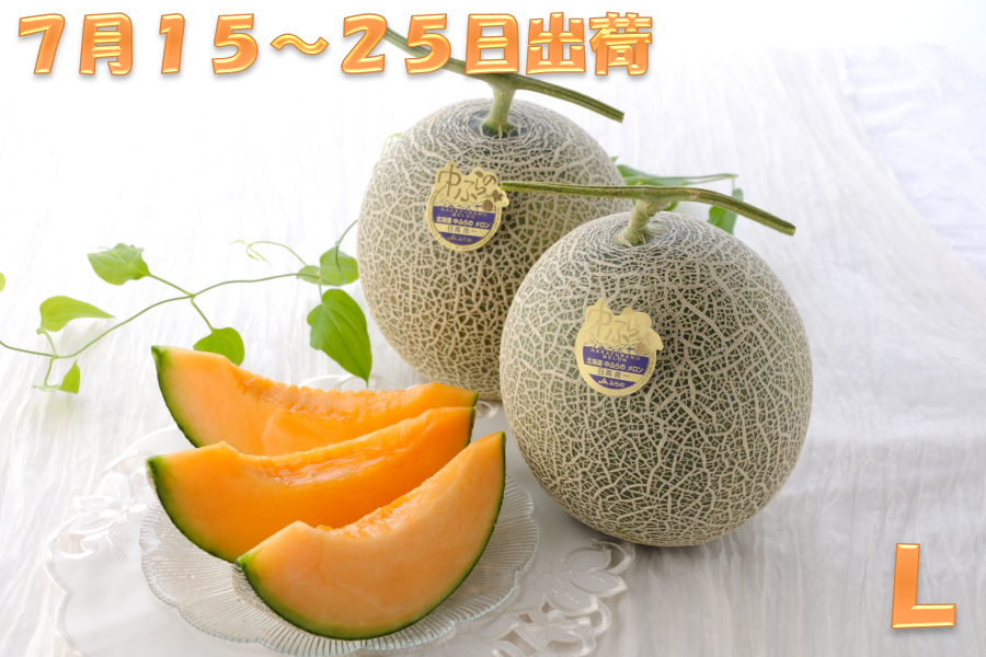 L（7月15～25日出荷）富良野メロン2玉（秀品）【お中元にも