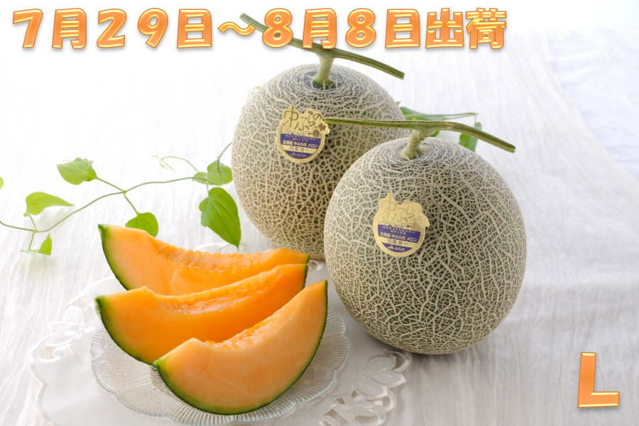 L（7月29日～8月8日出荷）富良野メロン2玉（秀品）: 北海道の