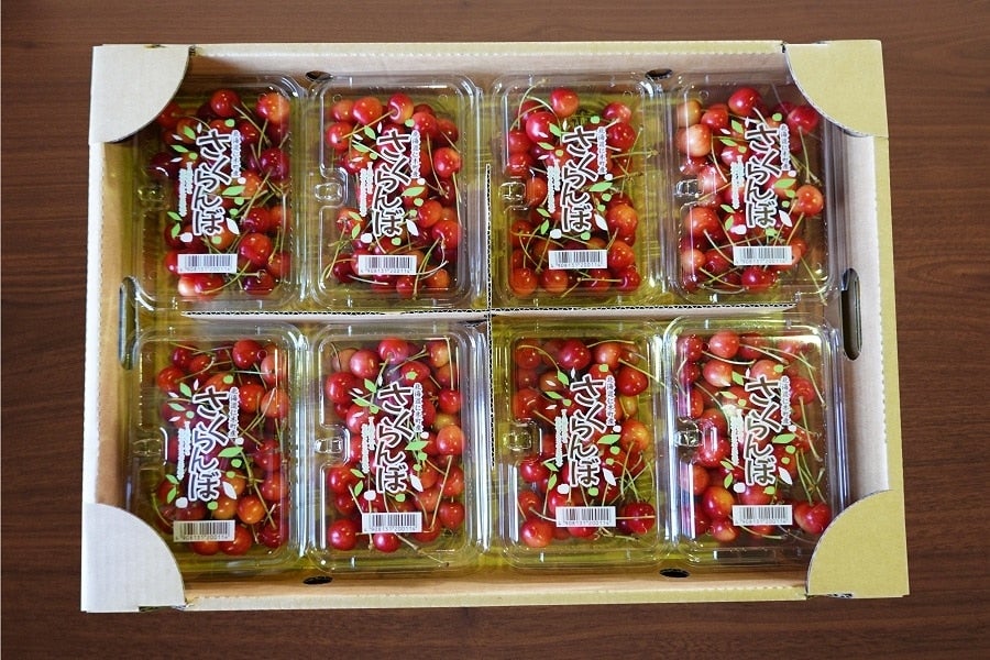 農家応援】（業務用）【品種：水門】さくらんぼフードパック 北海道