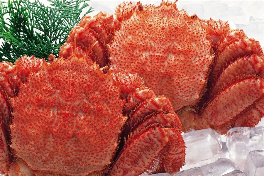 （500ｇ×2尾 ）北海道産ボイル毛ガニ