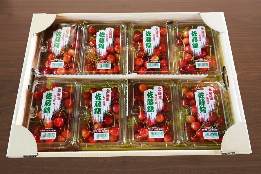 産地直送 通販 お取り寄せ(2セット)【品種:佐藤錦】さくらんぼ(200g×16パック):北海道仁木町産: JA新おたる紹介|JAタウン 産地直送 通販 お取り寄せ(2セット)【品種:佐藤錦】さくらんぼ(200g×16パック):北海道仁木町産: JA新おたる紹介|JAタウン