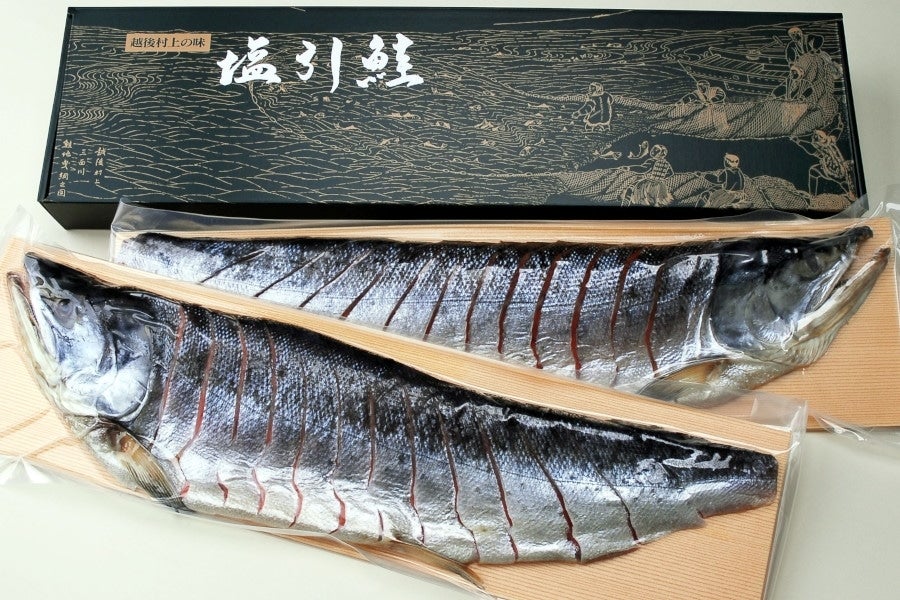 サケ　名産　村上　塩鮭　新巻鮭　塩引き鮭　シャケ　一尾物　塩引鮭　鮭　漁獲時3kg前半の鮭を使用(　特産品)　正規品販売！　新潟