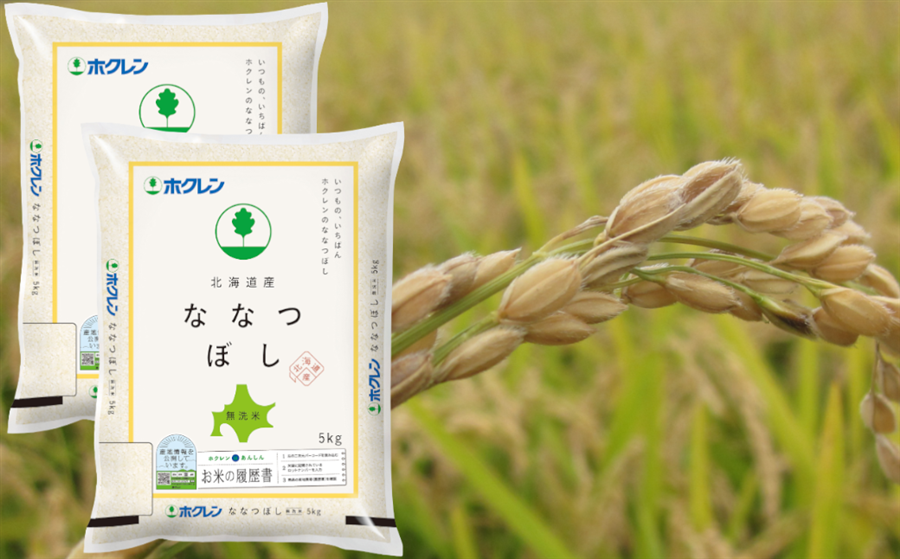 79％以上節約 令和4年産 北海道米 ななつぼし 無洗米 10kg