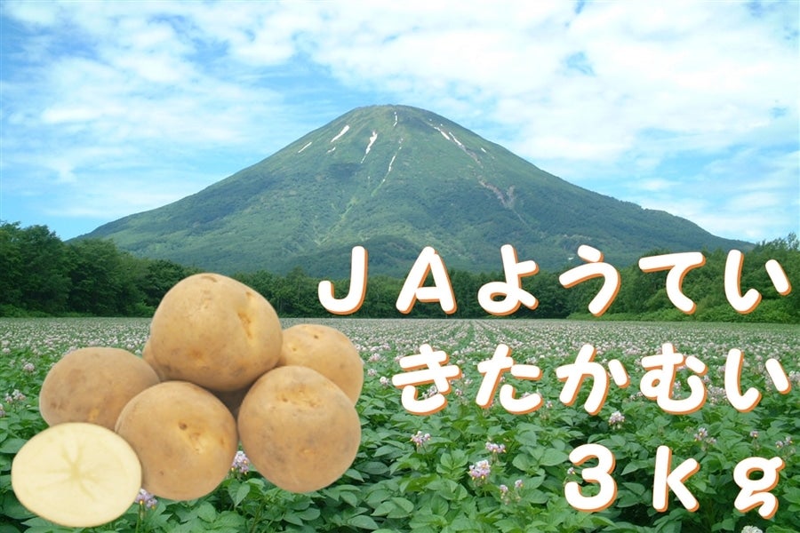 通販　お取り寄せ　３ｋｇ：馬鈴薯『きたかむい』【ＪＡようてい】:　ＪＡ新おたる紹介|【ＪＡタウン】産地直送