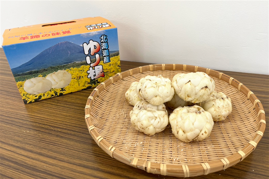 ゆり根（9球入）AL（約1.0kg）【JAようてい】: 北海道の特産品