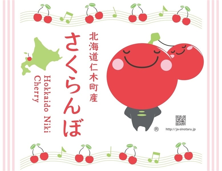 ゆうパック発送）【紅秀峰800g】JA新おたるのさくらんぼ