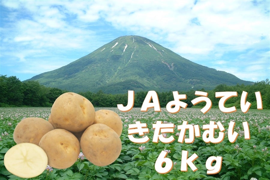 6kg:馬鈴薯『きたかむい』【JAようてい】