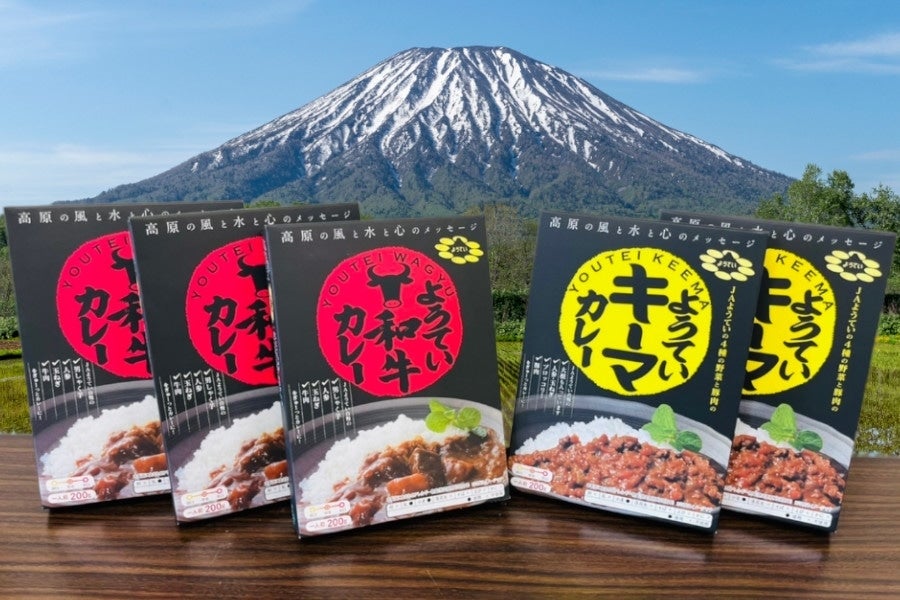ようていカレー食べ比べセット(和牛カレー3個・キーマカレー2個)【JAようてい】