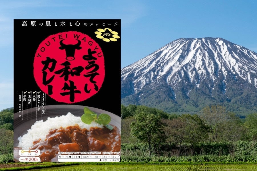 ようてい和牛カレー(5個セット)【JAようてい】