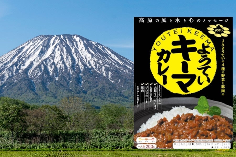 ようていキーマカレー(5個セット)【JAようてい】