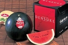 すいかです 1003-100320180802.jpg