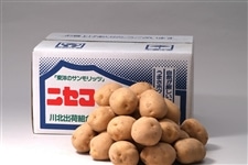 1003-100320191006.jpg