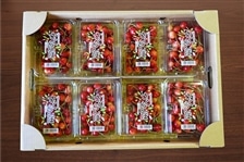 1003-100320200717-CP.jpg
