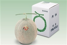 夕張メロン（秀品）1玉【お中元にも】: 北海道の特産品|【JAタウン