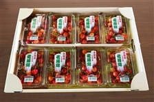 2セット）【品種：佐藤錦】さくらんぼ（200g×16パック