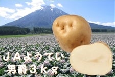 馬鈴薯『男爵』Lサイズ（約3.0kg）【ＪＡようてい】