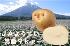 ９ｋｇ：馬鈴薯『男爵』Lサイズ（約9.0kg）【ＪＡようてい】