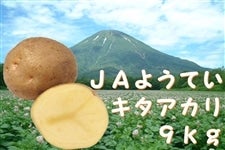 ９ｋｇ：馬鈴薯『キタアカリ』Lサイズ（約9.0kg）【ＪＡようてい】