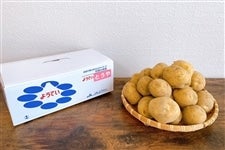 POFn鏒wƂxyi`悤Ăz