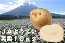 �P�O�����F�n�鏒�w�j�݁x�y�i�`�悤�Ă��z
