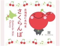 夏のJAタウン祭り）【南陽360g（180g×2パック）】JA新