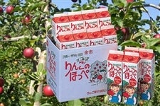 【12本】JAよいちの『りんごのほっぺ』(ストレート)