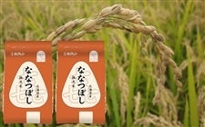 �i�����ĂS�����j�z�N������ȂȂڂ��y�ߘa�V�N�Y�z