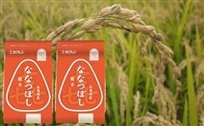 �i���ĂS�����j�z�N������ȂȂڂ��y�ߘa�V�N�Y�z