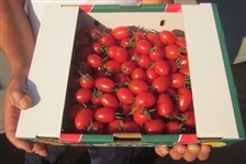 100320120811.jpg