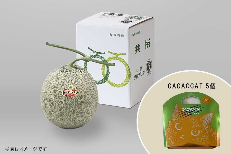 夕張メロン優品1玉チョコ5個（カカオキャット）セット: JA夕張市