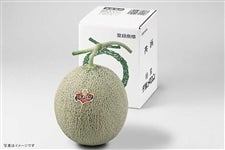 夕張メロン 秀品1玉（大玉）: JA夕張市|【JAタウン】産地直送