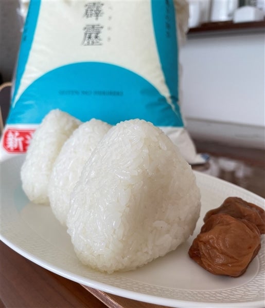 青森県産　白米30キロ 青森県産玄米30キロ