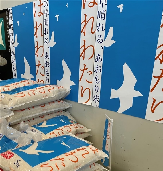 【期間限定】【令和7年産】青森県産米 『はれわたり』 5kg【+300gプレゼント!!】