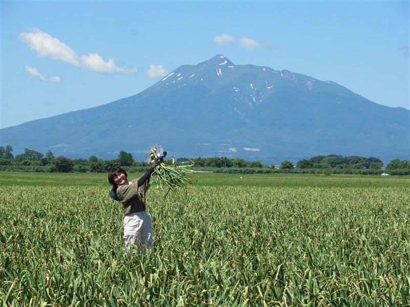 青森県産にんにく１㎏令和５年産２Lサイズ・約１kg×１: ＪＡ全農