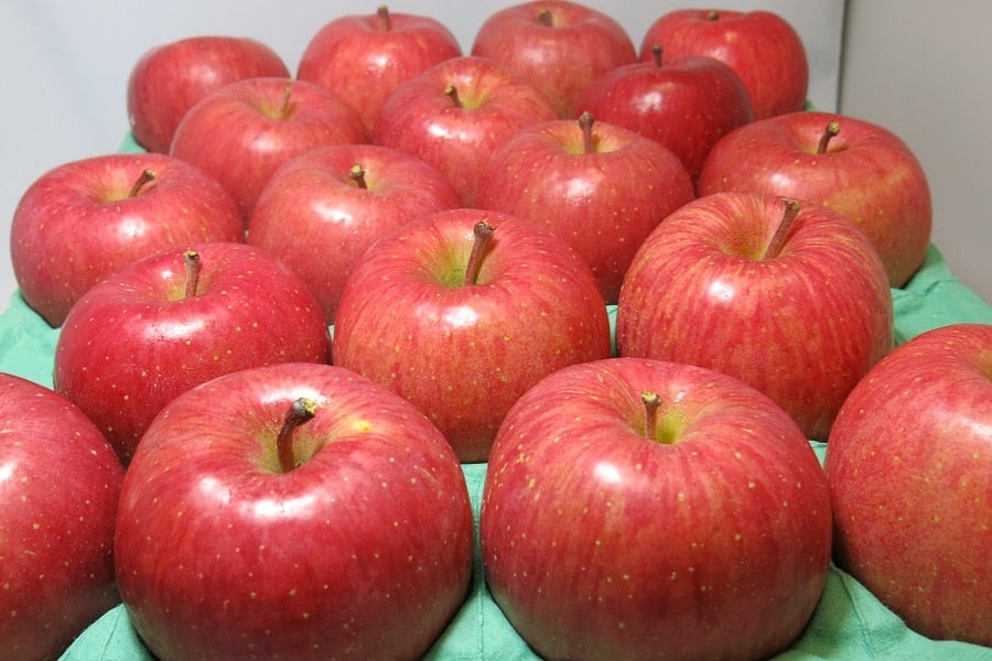 ★お客様送料負担なし★【贈答用】サンふじ約3kg(特A9〜12玉)JAつがる弘前