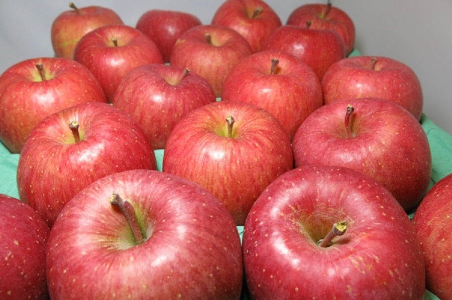 ★お客様送料負担なし★【家庭用】サンふじ約3kg(赤秀9〜12玉)JAつがる弘前