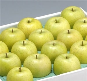 ★お客様送料負担なし★【贈答用】王林約5kg(特選16〜20玉)JAつがる弘前