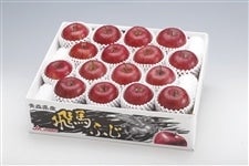 qlSȂnӂ 5kgiAPU`PWʁj JAn