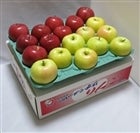 qlSȂyƒpzӂuЂ낳ӂv&ugLv TkgieW`POʁji`OO