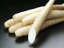 家庭用 ながいも C2L 5kg(6~8本入り)