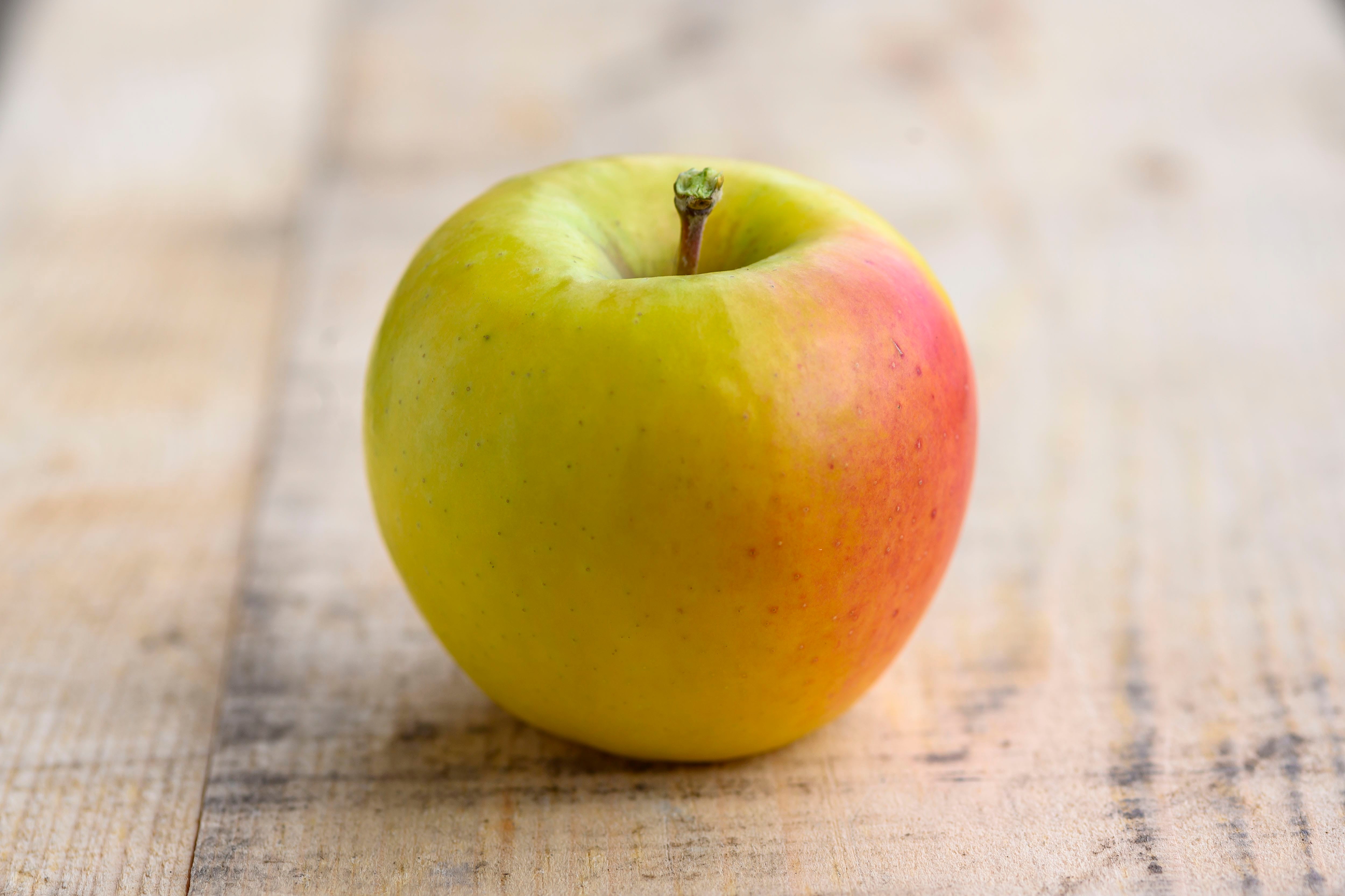 qlSȂܖRkg(X~1Q) JAOOyTOIz