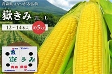 y30zX̂Ƃ낱gԂ݁h5kg(12`14{)